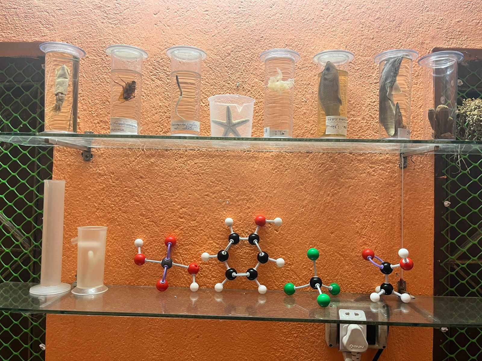 Institute photo 5